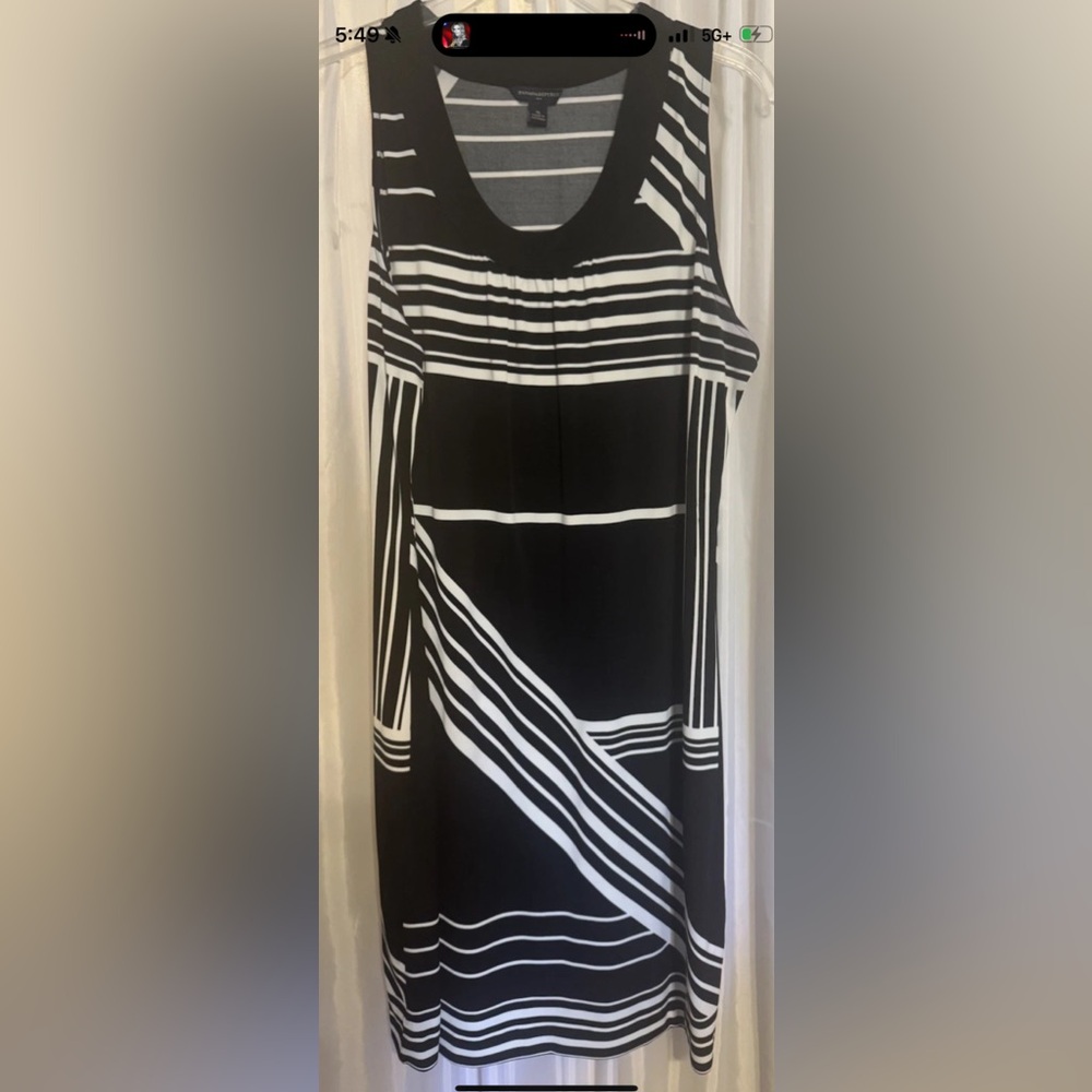 Banana Republic Black and White Striped Sleeveless Mini Dress